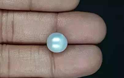 South Sea Pearl (Moti) - 6.25 Carats