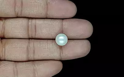 South Sea Pearl (Moti) - 6.35 Carats