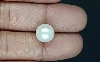 South Sea Pearl - 8.52 Carats (Moti - 9.29 Ratti)