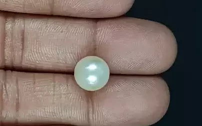 South Sea Pearl - 7.25 Carats (Moti - 7.90 Ratti)