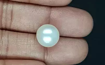 South Sea Pearl (Moti) - 13.62 Carats
