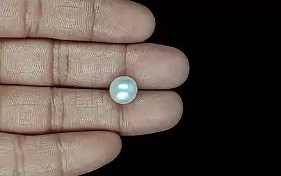 South Sea Pearl (Moti) - 6.97 Carats