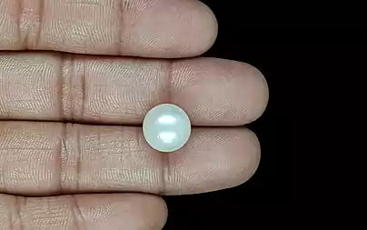 South Sea Pearl (Moti) - 10.73 Carats