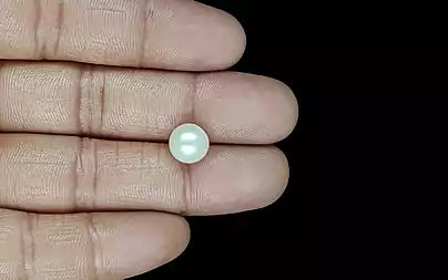 South Sea Pearl (Moti) - 5.31 Carats