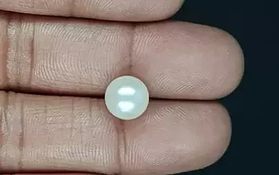 South Sea Pearl (Moti) - 5.53 Carats