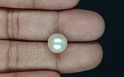 South Sea Pearl (Moti) - 7.13 Carats