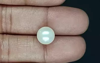 South Sea Pearl (Moti) - 7.48 Carats