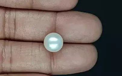 South Sea Pearl (Moti) - 7.03 Carats