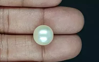 South Sea Pearl (Moti) - 11.93 Carats