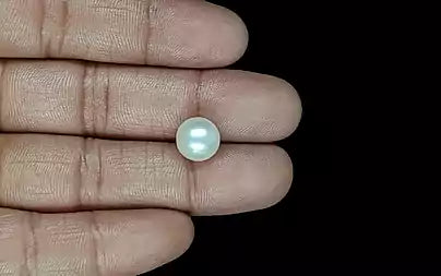 South Sea Pearl (Moti) - 6.47 Carats