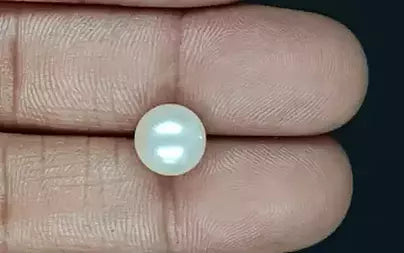 South Sea Pearl (Moti) - 5.25 Carats