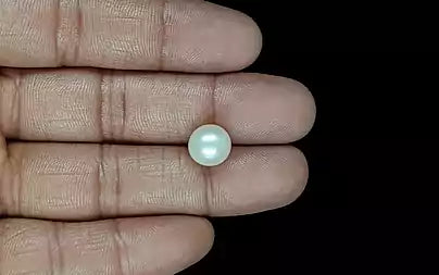 South Sea Pearl (Moti) - 6.41 Carats