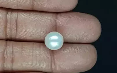 South Sea Pearl (Moti) - 6.60 Carats
