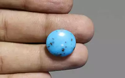 Turquoise - 9.13 Carats