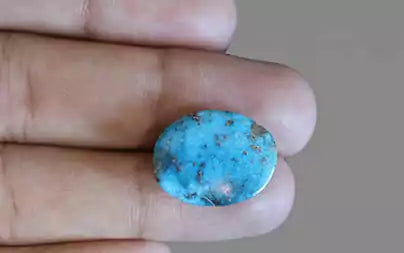 Turquoise - 12.39 Carats ( Firoza - 13.51 Ratti )