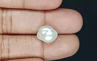 Venezuela Pearl - 7.48 Carats (Moti - 8.15 Ratti)