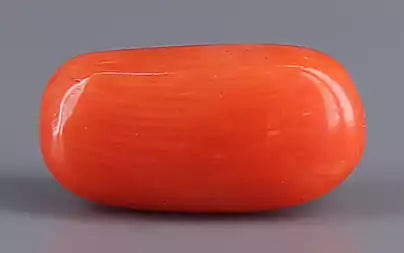 Red Coral (Moonga) - 5.14 Carats