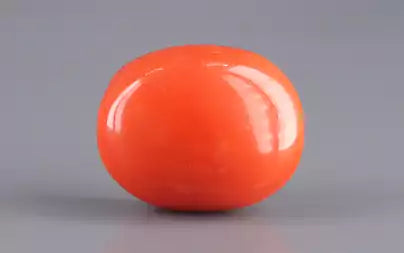 Red Coral (Moonga) - 16.94 Carats