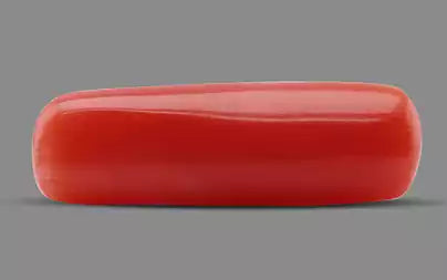 Red Coral (Moonga) - 5.32 Carats