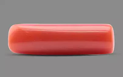 Red Coral (Moonga) - 5.29 Carats