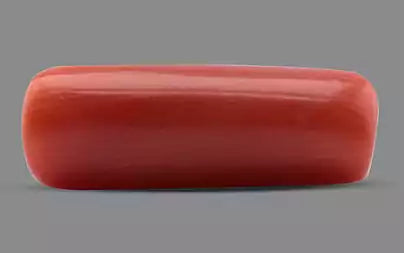 Red Coral (Moonga) - 4.55 Carats
