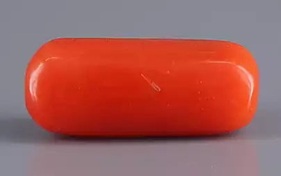 Red Coral (Moonga) - 3.67 Carats