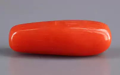 Red Coral (Moonga) - 3.88 Carats