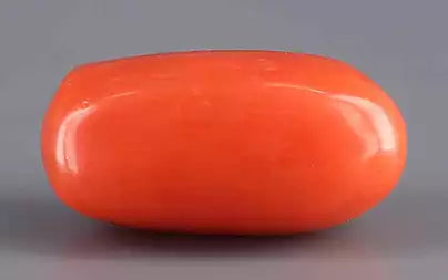 Red Coral - 8.17 Carats (Moonga - 8.91 Ratti)
