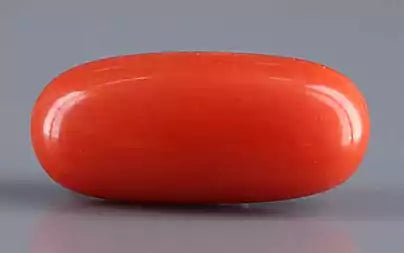 Red Coral (Moonga) - 6.00 Carats