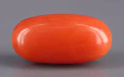 Red Coral (Moonga) - 4.71 Carats