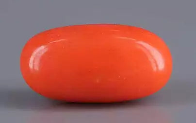Red Coral - 5.59 Carats (Moonga - 6.09 Ratti)