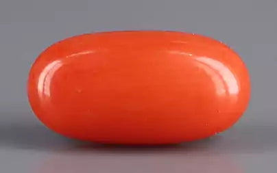 Red Coral (Moonga) - 3.31 Carats