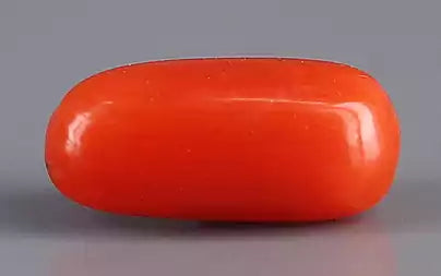 Red Coral (Moonga) - 2.15 Carats