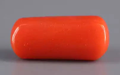 Red Coral (Moonga) - 4.72 Carats