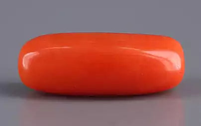 Red Coral (Moonga) - 4.06 Carats