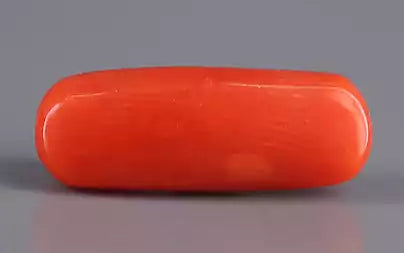 Red Coral (Moonga) - 3.40 Carats