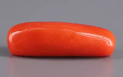 Red Coral (Moonga) - 4.29 Carats