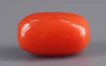 Red Coral - 5.07 Carats (Moonga - 5.53 Ratti)