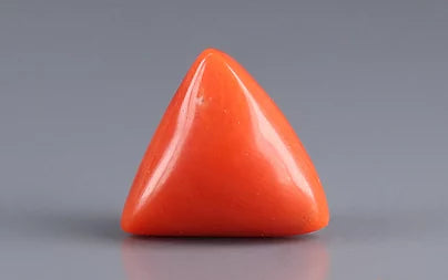 Red Coral (Moonga) - 9.28 Carats