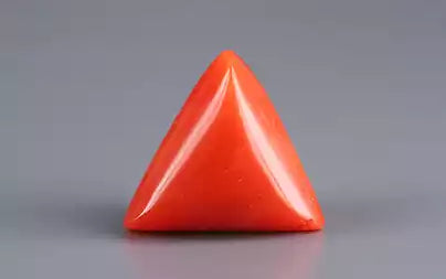 Red Coral (Moonga) - 8.73 Carats