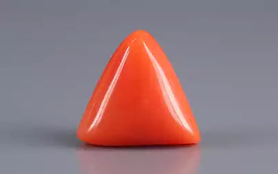 Red Coral (Moonga) - 3.41 Carats
