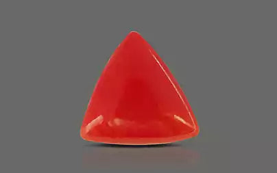Red Coral - 3.12 Carats (Moonga - 3.40 Ratti)