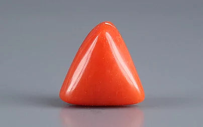 Red Coral (Moonga) - 3.11 Carats