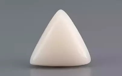 White Coral - 7.96 Carats