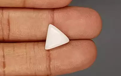 White Coral - 3.48 Carats