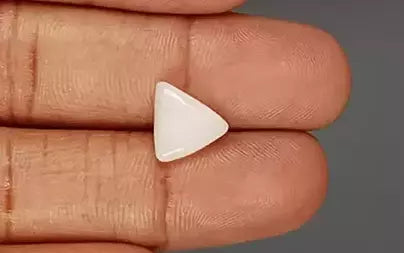 White Coral - 3.6 Carats