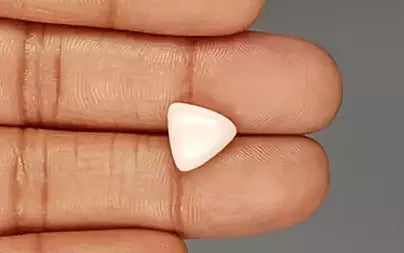 White Coral - 4.3 Carats
