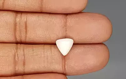 White Coral - 2.77 Carats