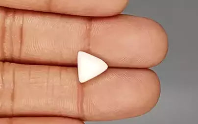 White Coral - 2.62 Carats