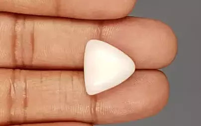 White Coral - 11.55 Carats